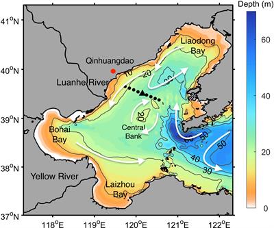 Summer bottom oxygen depletion dynamics and the associated physical structure in the Bohai Sea